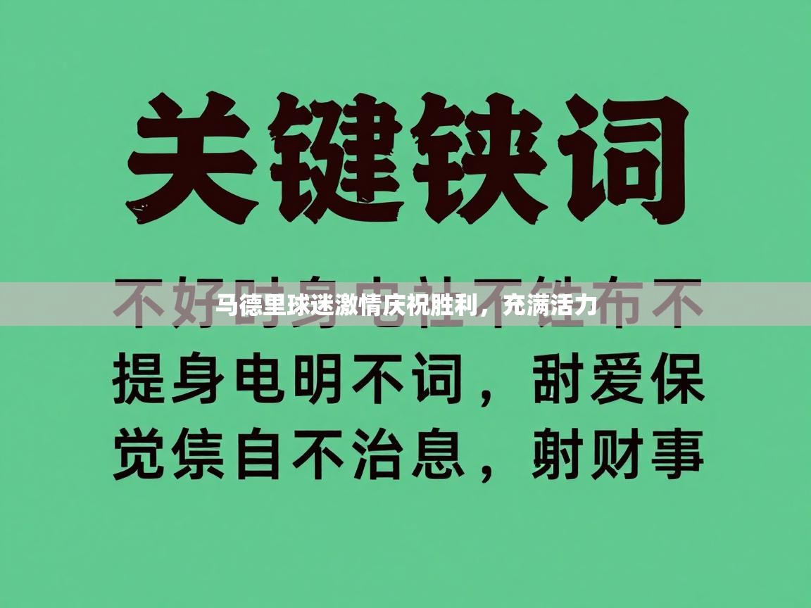 马德里球迷激情庆祝胜利，充满活力  第2张