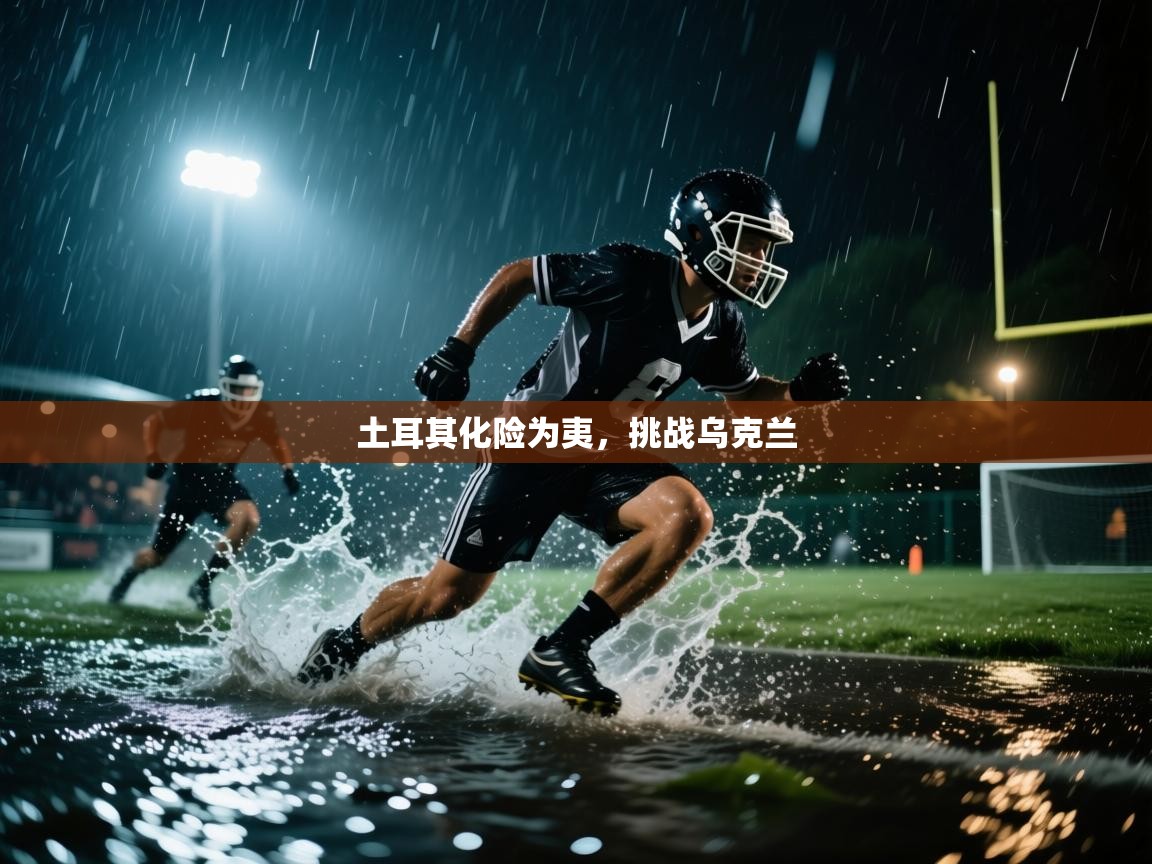 土耳其化险为夷，挑战乌克兰  第1张