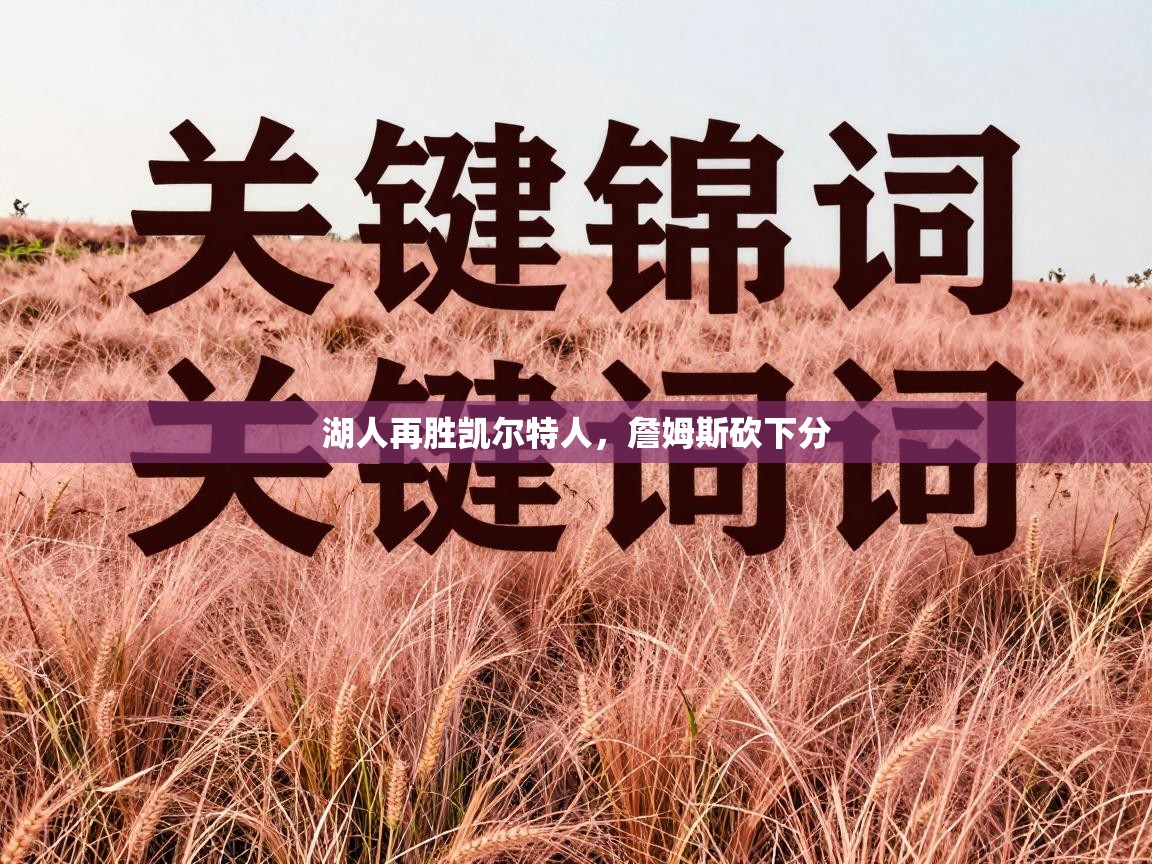 湖人再胜凯尔特人，詹姆斯砍下分  第2张